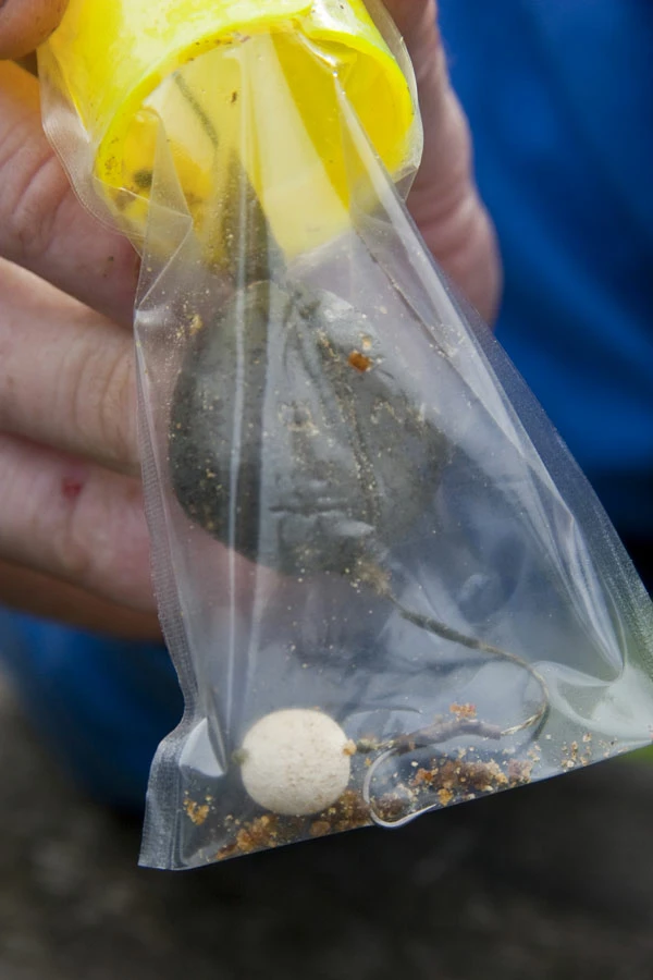 Avid Carp Transfer Bag Loading Kit Small 4 Avid Carp Transfer Bag Loading Kit Small - Image 4