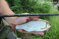 Drennan Acolyte Ultra 13ft Float 7 Drennan Acolyte Ultra 13ft Float -Cheap Rods Store 1381854539 10