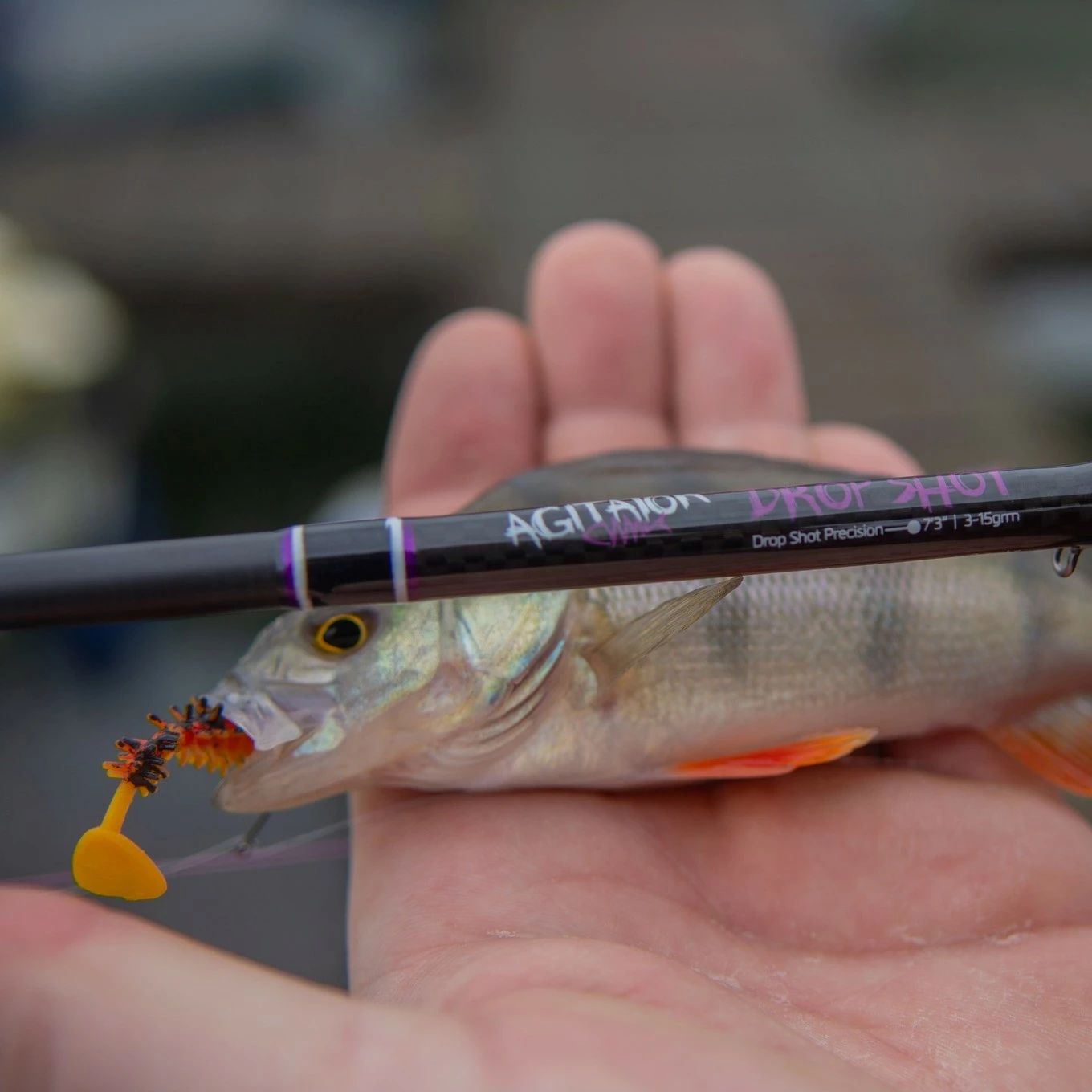 Wychwood Agitator Dropshot Rod 5 Wychwood Agitator Dropshot Rod - Image 5