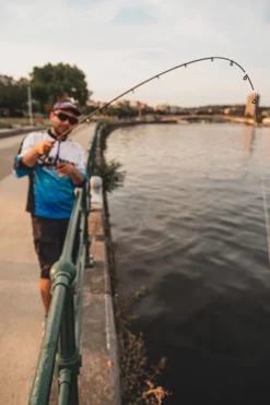 Fox Rage Street Fighter Drop N Jig Rod 10 Fox Rage Street Fighter Drop N Jig Rod -Cheap Rods Store 1lcpkrik637380961103912735