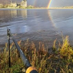 Daiwa Black Widow Deadbait Rods 9 Daiwa Black Widow Deadbait Rods -Cheap Rods Store 1p0fx1fq638037749376916553