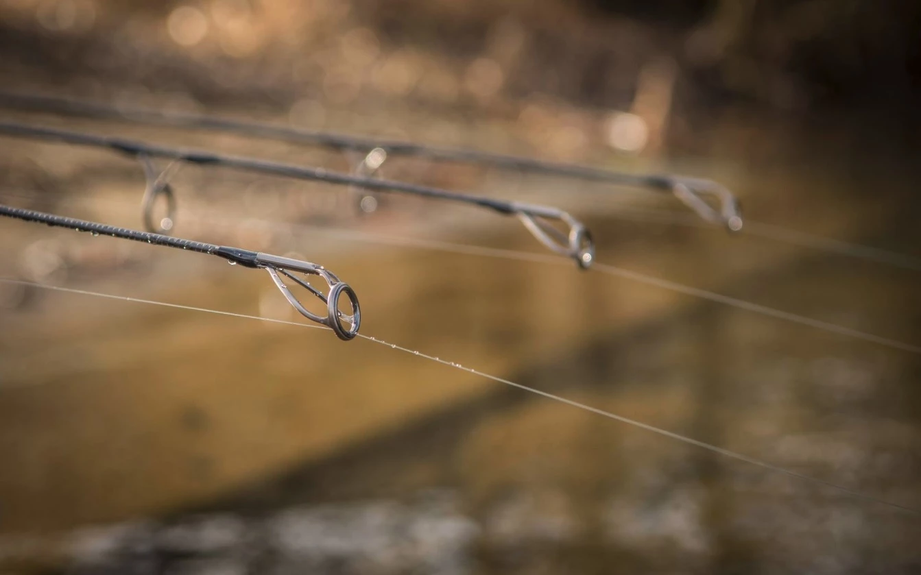 Wychwood Extremis Carp Rods 4 Wychwood Extremis Carp Rods - Image 4