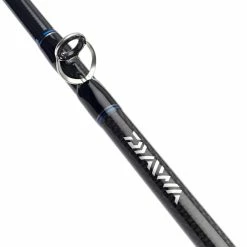 Team Daiwa X Boat Rods -Cheap Rods Store 50l3u4au637728399661072208