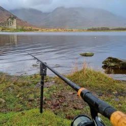 Daiwa Black Widow Deadbait Rods 8 Daiwa Black Widow Deadbait Rods -Cheap Rods Store 5ulcahz1638037749376916553