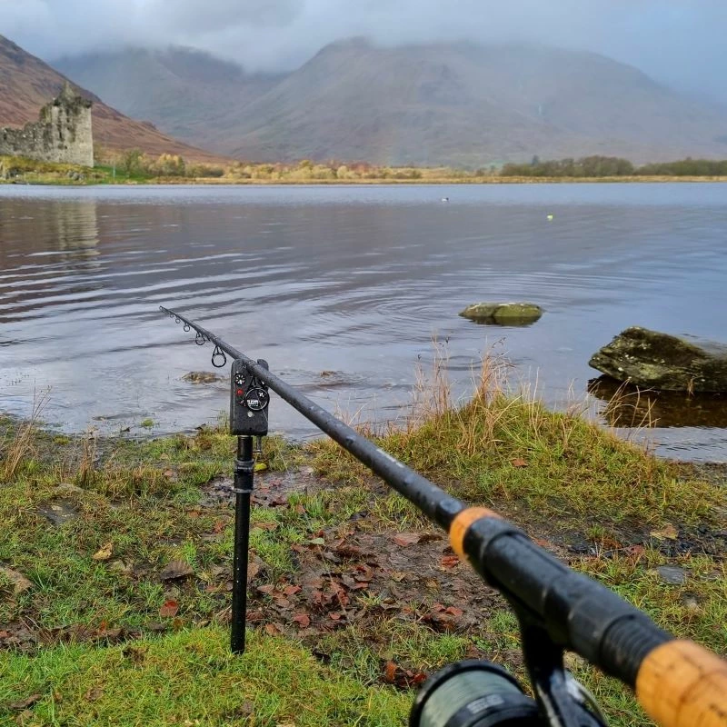 Daiwa Black Widow Deadbait Rods 4 Daiwa Black Widow Deadbait Rods - Image 4