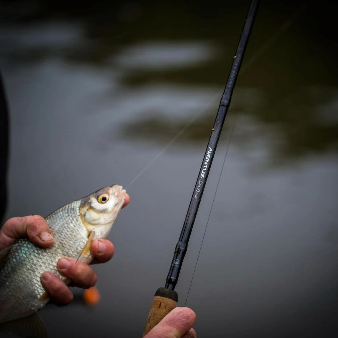 Guru Aventus Steve Ringer Light Feeder Rods 25 Guru Aventus Steve Ringer Light Feeder Rods - Image 25