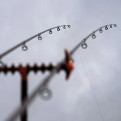 Guru N-Gauge Specimen Dual Tip Rods -Cheap Rods Store b2vhwjmg638089600291664940