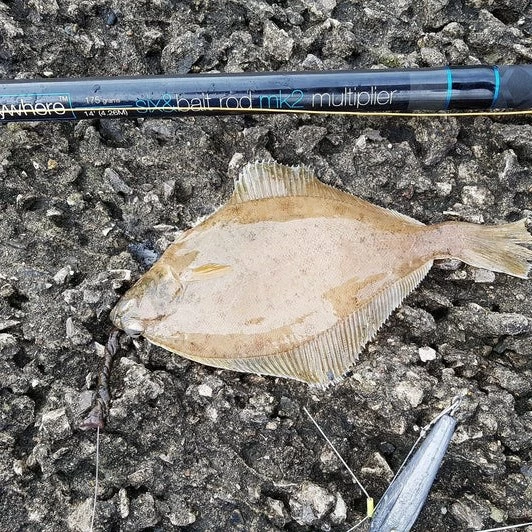 Anyfish Anywhere Six & Bait MK2 Rods 13ft 1 Anyfish Anywhere Six & Bait MK2 Rods 13ft