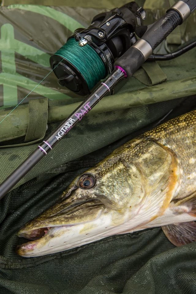 Wychwood Agitator Bait Rod 12ft 3.25lb 3 Wychwood Agitator Bait Rod 12ft 3.25lb - Image 3