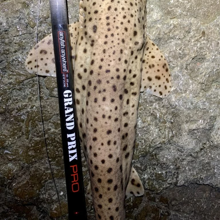 AnyFish Anywhere Grand Prix Pro Rod 1 AnyFish Anywhere Grand Prix Pro Rod