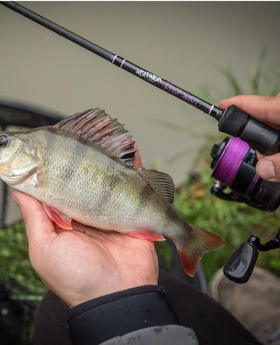 Wychwood Agitator Dropshot Rod 4 Wychwood Agitator Dropshot Rod - Image 4