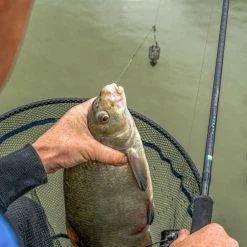 Preston Innovations Supera X Feeder Rods 16 Preston Innovations Supera X Feeder Rods -Cheap Rods Store h5lxgue1638048149956500289