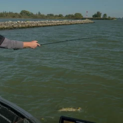 Fox Rage Terminator Versatile Casting Rods -Cheap Rods Store kbfl2b5u637431042259289021