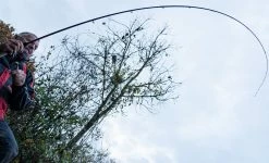 Daiwa Ninja Feeder Rods 11 Daiwa Ninja Feeder Rods -Cheap Rods Store khcnw4b3637485501024777987