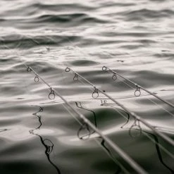 Daiwa Infinity X45 Carp Rods -Cheap Rods Store rbpngg5b638149893184428074