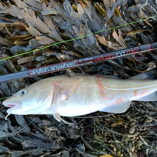 Anyfish Anywhere Estuary MK2 Rods 1 Anyfish Anywhere Estuary MK2 Rods