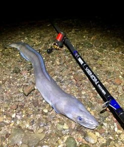 TronixPro Xenon Power Rod 13ft 8in 10 TronixPro Xenon Power Rod 13ft 8in -Cheap Rods Store u32b5cyu636846343755425733