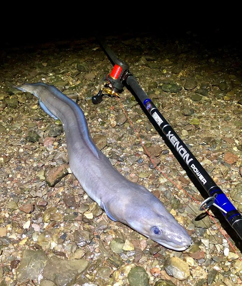 TronixPro Xenon Power Rod 13ft 8in 5 TronixPro Xenon Power Rod 13ft 8in - Image 5