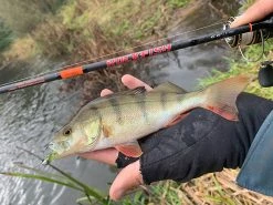 HTO Rockfish Rods -Cheap Rods Store vommyx5q636827163658584081