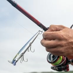 Daiwa Ninja Tele Spinning Rods -Cheap Rods Store zeqd4xrc637961664685991908